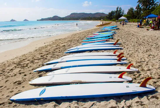 Ocean Sports & Fitness Day