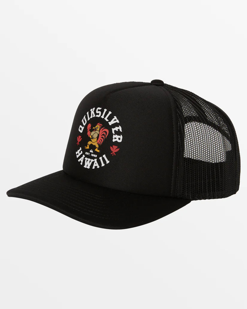 Quiksilver hawaii hat on sale