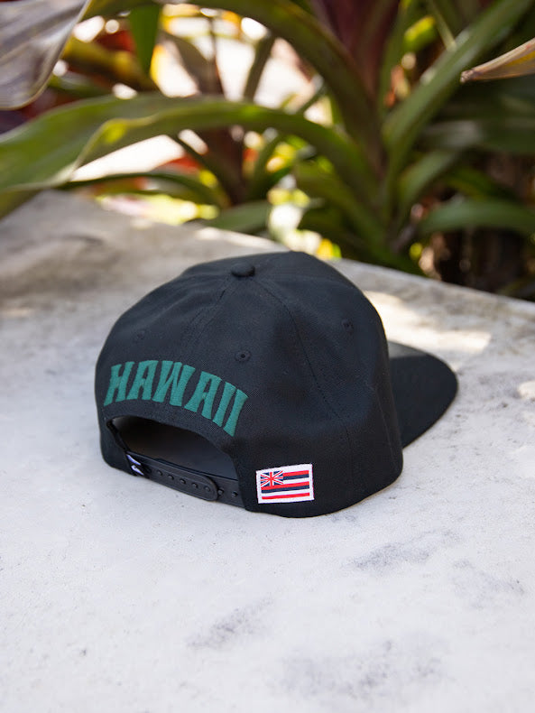 QUIKSILVER HAWAII BOAR SNAPBACK - BLACK