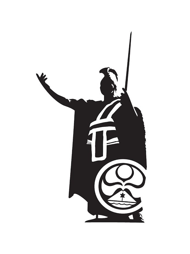 HIC KAMEHAMEHA DIE CUT VINYL STICKER - BLACK