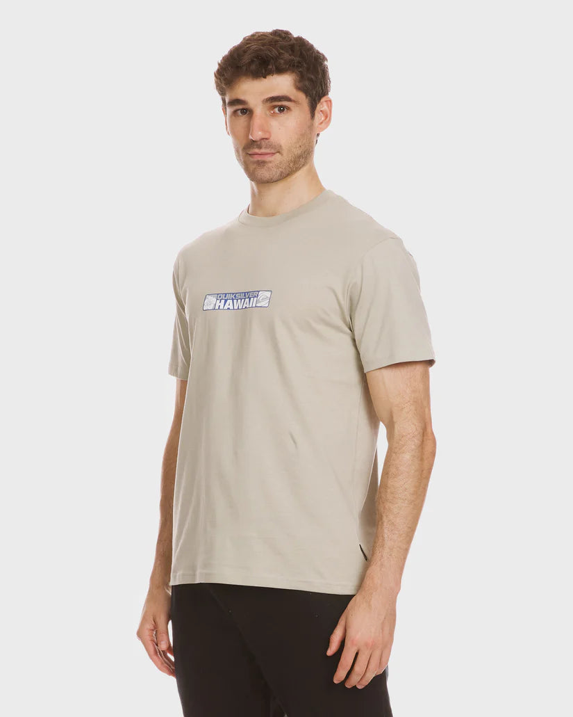 QUIKSILVER HI BUMPER STICKER TEE - PALE ALOE (PAA)