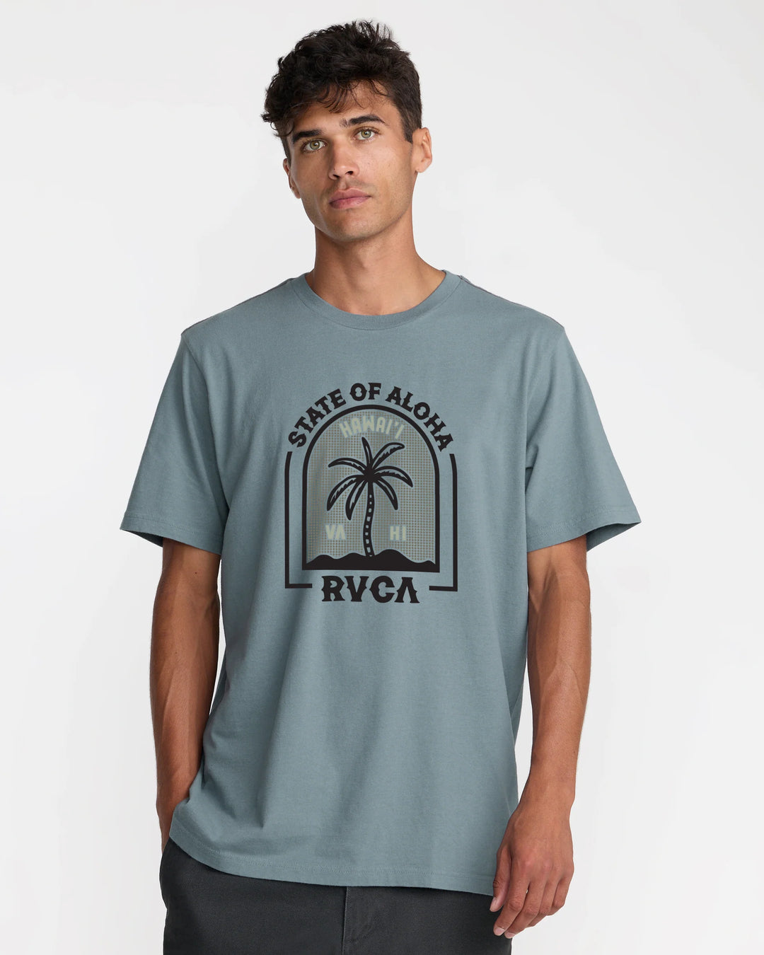 RVCA HAWAII HEADSTONE TEE -  (LED)