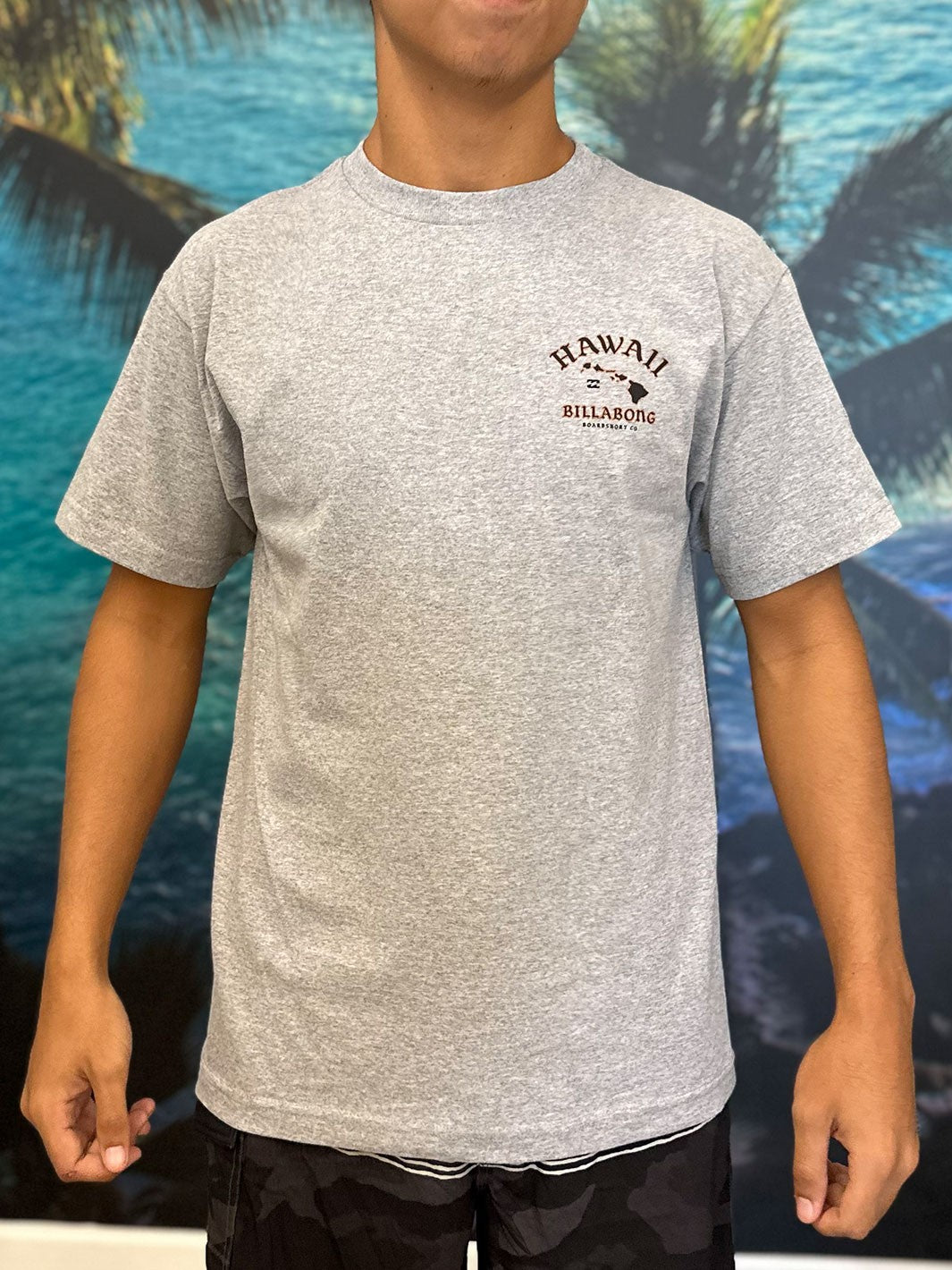 BILLABONG ISLAND CHAIN BASIC TEE - GRAY HEATHER (GYH)