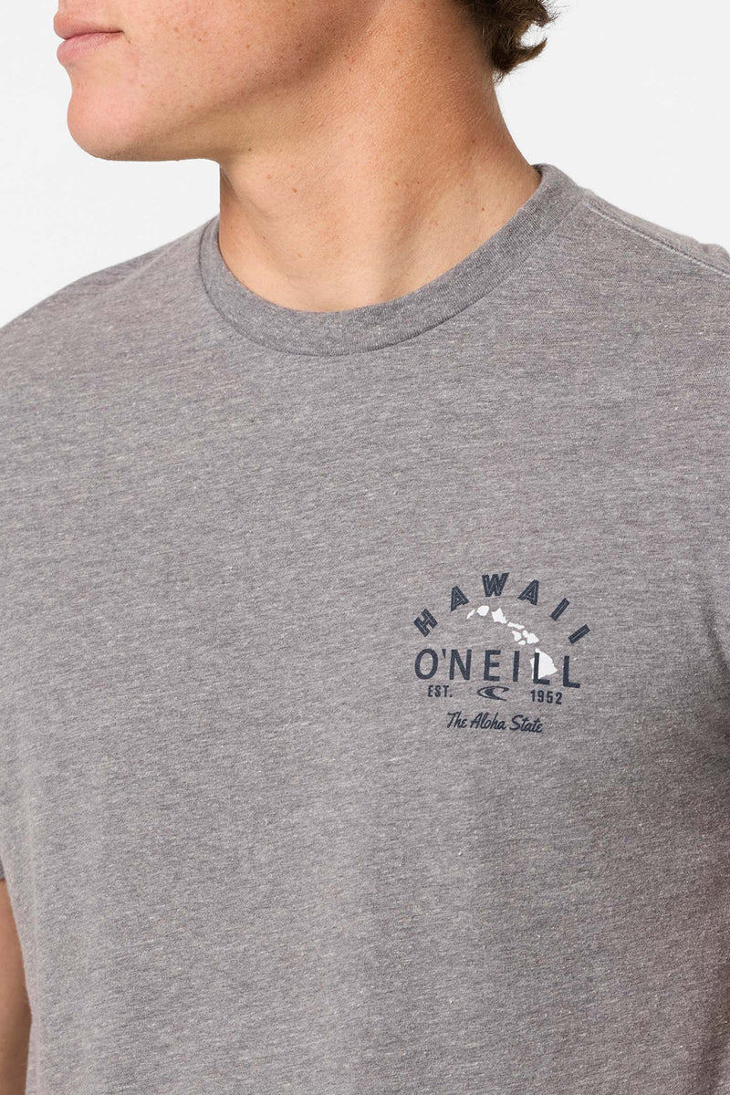 O'NEILL HAWAII ROOSTER TEE - HEATHER GRAY