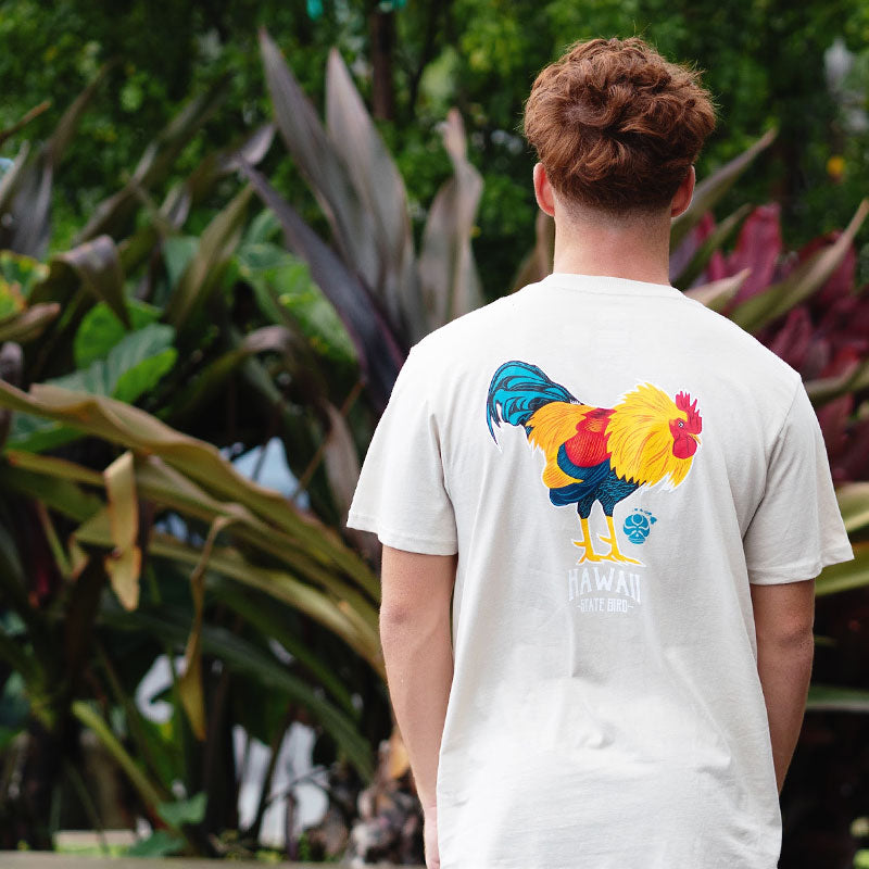 Hawaiian Island Creations