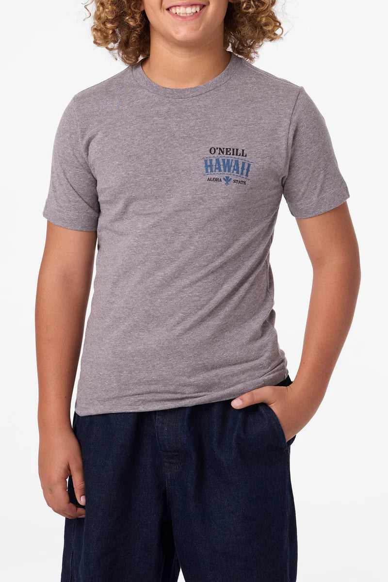 O'NEILL HAWAII ARCH BOYS TEE - GRAY