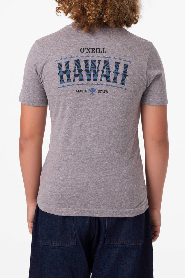 O'NEILL HAWAII ARCH BOYS TEE - GRAY
