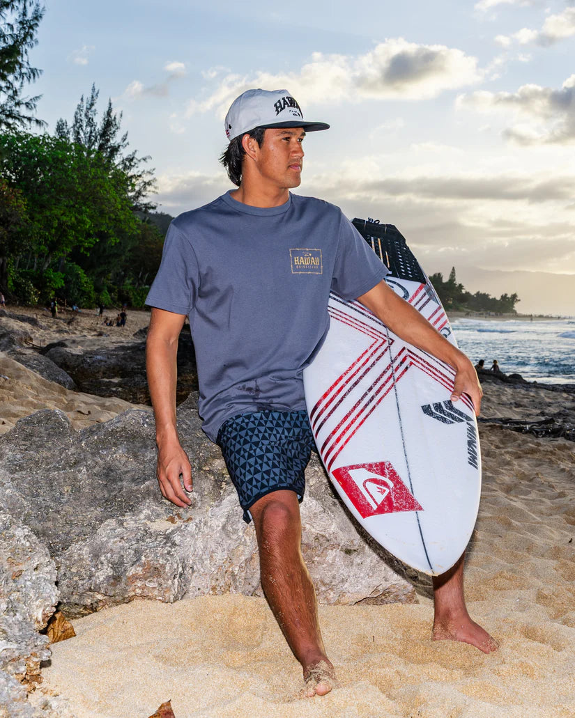 QUIKSILVER HAWAII LOCK TEE - IRON GATE (KZM0)