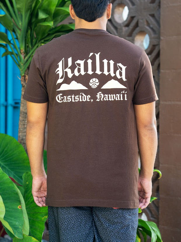 HIC KAILUA EASTSIDE BIG BRADDAH TEE - BROWN