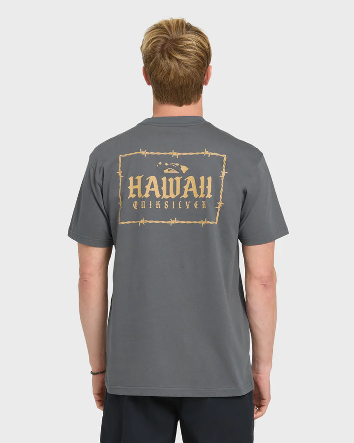 QUIKSILVER HAWAII LOCK TEE - IRON GATE (KZM0)