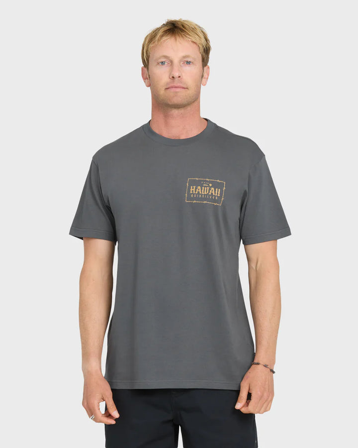 QUIKSILVER HAWAII LOCK TEE - IRON GATE (KZM0)