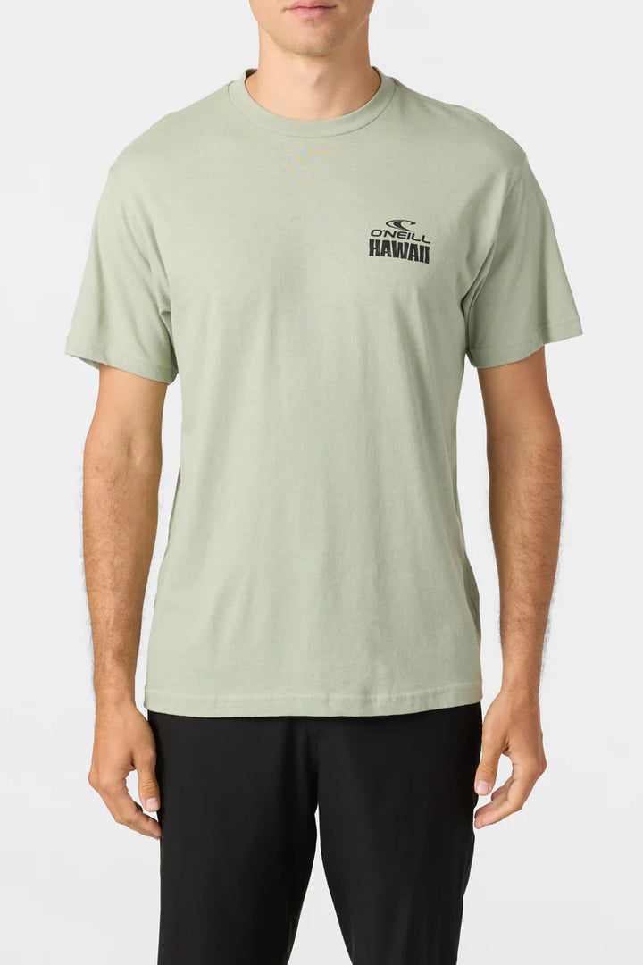 O'NEILL PARKSIDE STANDARD FIT TEE - SAGE (SGS)