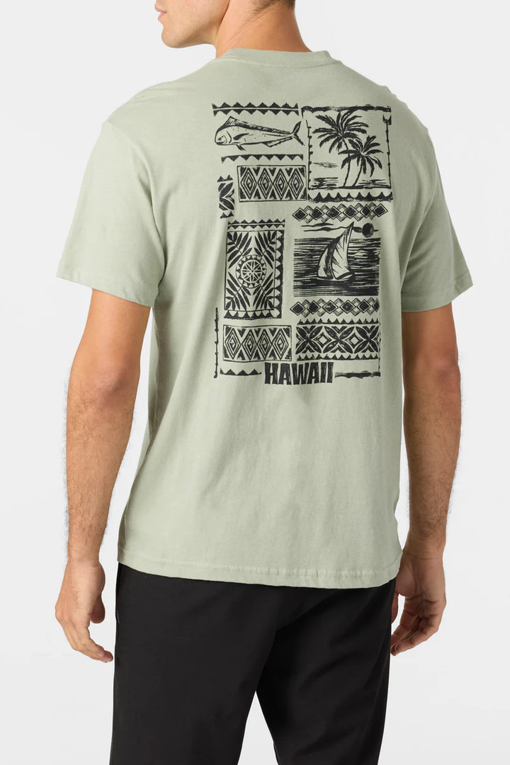 O'NEILL PARKSIDE STANDARD FIT TEE - SAGE (SGS)