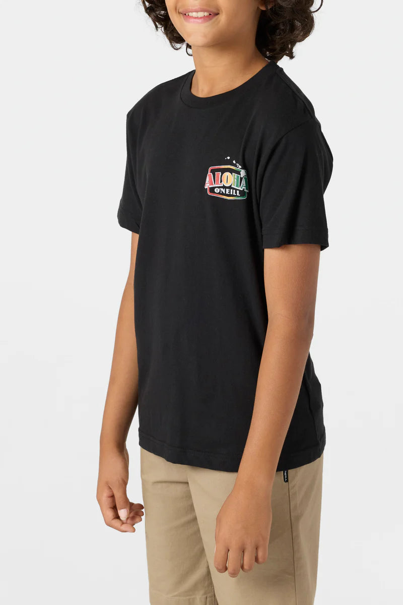 O'NEILL PALMS TEE BOYS - BLACK