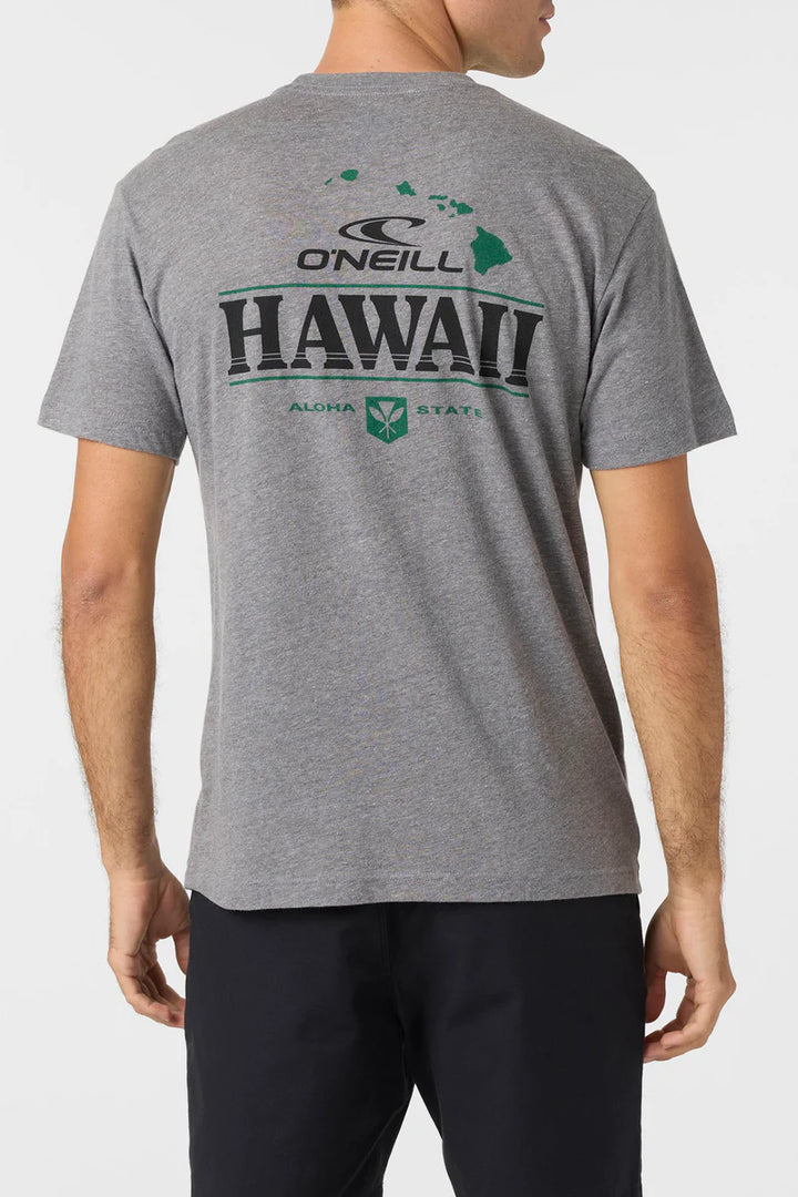 O'NEILL HORIZON LINES TEE - GRAY