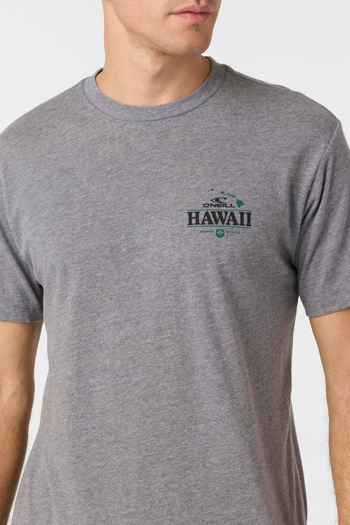 O'NEILL HORIZON LINES TEE - GRAY