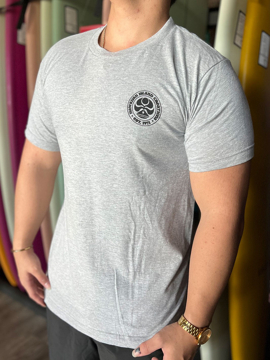 HIC SAIMIN ALL DAY 2.0 BIG BRADDAH TEE - HEATHER GRAY